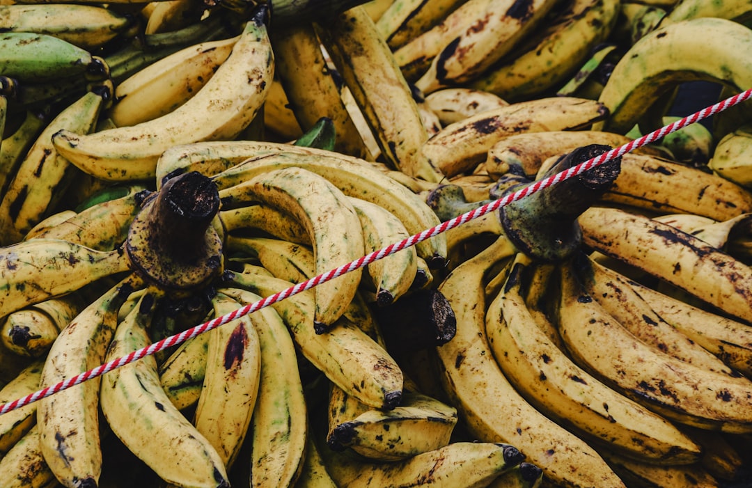 The Nutritional Value of Bananas: A Healthy and Delicious Snack